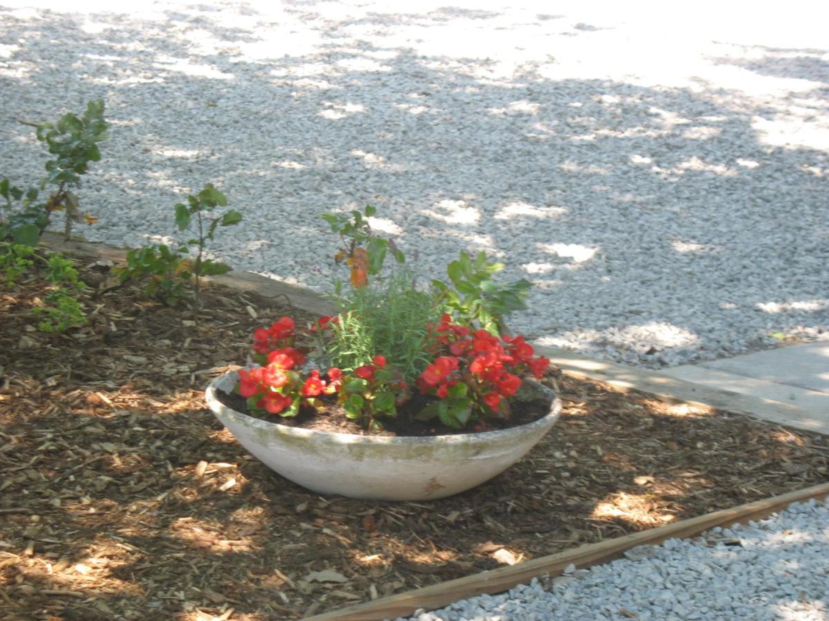 Durbuy Kleine Familiechalet Edelweiss 4 A 5 Pers מראה חיצוני תמונה